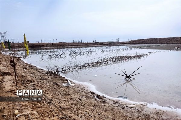 حضور پر شور دانش‌آموزان پسر استان فارس در اردوی راهیان نور