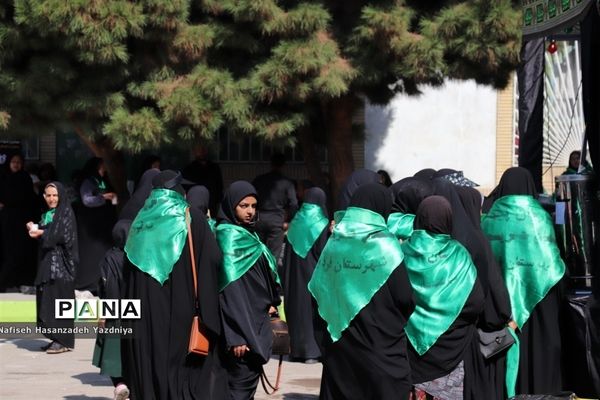 دومین روز از استقبال از زائران طرح گام عاشقی