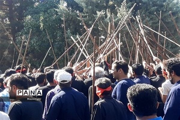 مراسم باشکوه سنتی مذهبی قالیشویان فین کاشان در مشهد اردهال