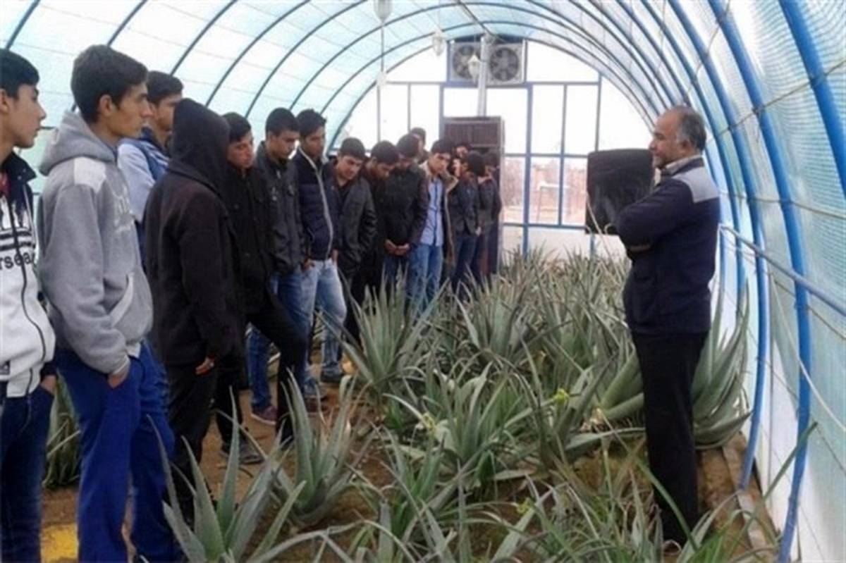 جوان‌شدن کشاورزی در ایران در گرو رسیدگی به هنرستان‌های کشاورزی است