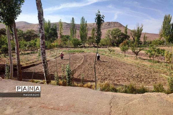 نخستین همایش «بازنمایی هویت روستایی» در شهرستان کاشان