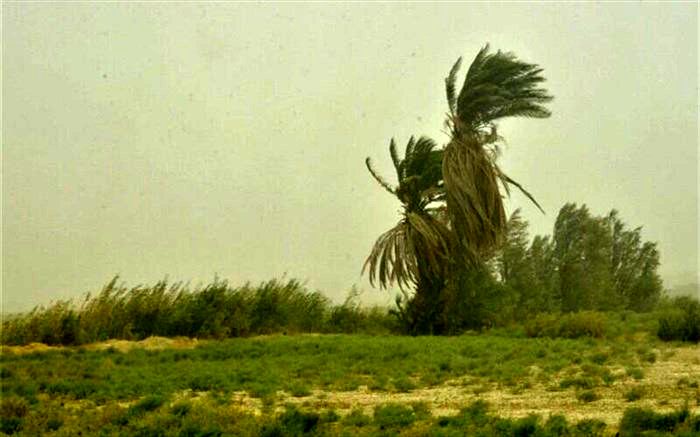 هشدار درباره وقوع توفان لحظه‌ای در تهران