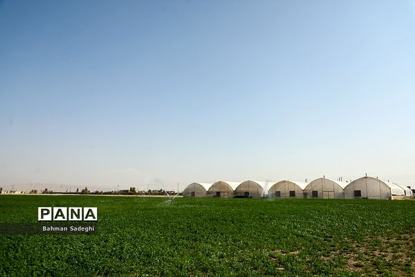 هنرستان کشاورزی پسرانه شهید باهنر