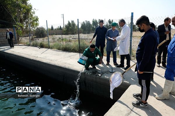 هنرستان کشاورزی پسرانه شهید باهنر