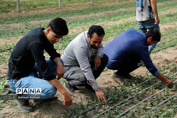 هنرستان کشاورزی پسرانه شهید باهنر