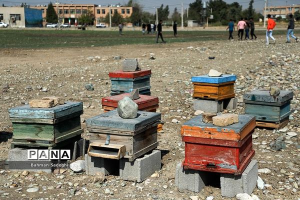 هنرستان کشاورزی پسرانه شهید باهنر