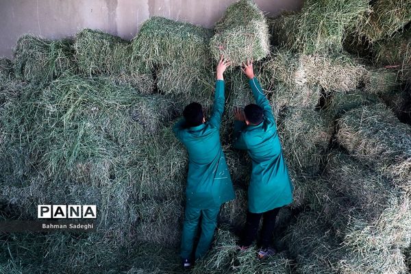 هنرستان کشاورزی پسرانه شهید باهنر