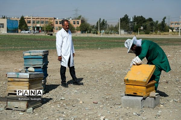 هنرستان کشاورزی پسرانه شهید باهنر