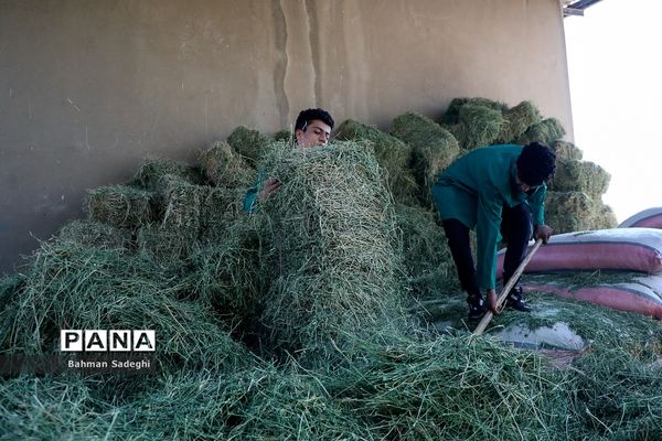 هنرستان کشاورزی پسرانه شهید باهنر