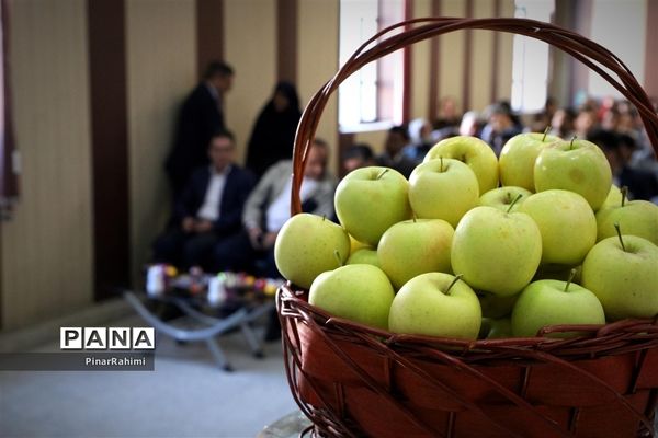 برگزاری جشنواره سیب مراغه