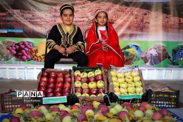 برگزاری جشنواره سیب مراغه