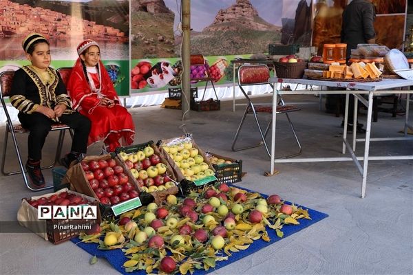 برگزاری جشنواره سیب مراغه