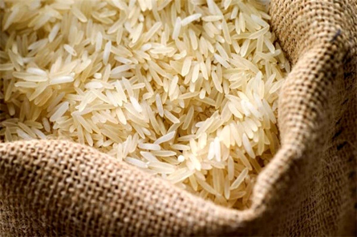میزان واردات برنج در نیمه نخست امسال اعلام شد