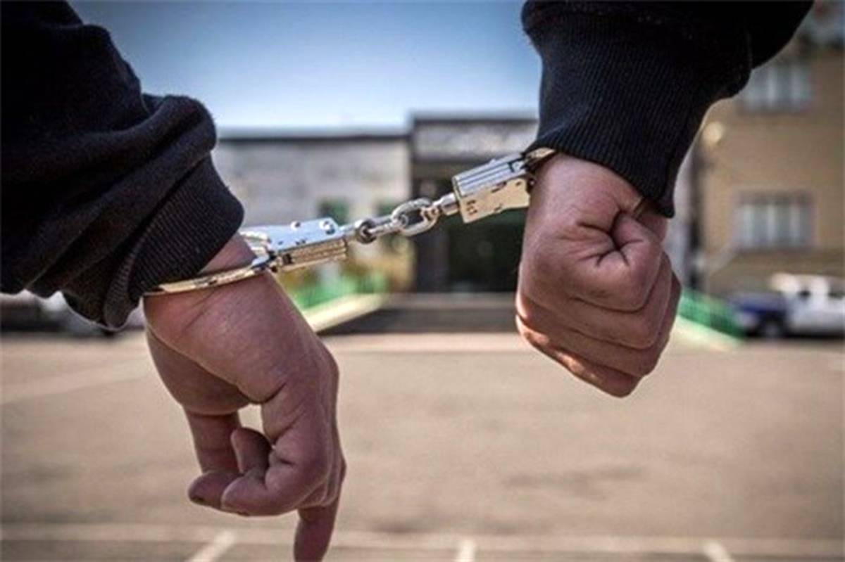 دستگیری 11 نفر از عاملان آشوب در لواسان