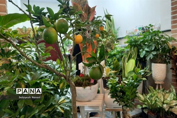 برگزاری نمایشگاه گل و گیاه در شهرستان قرچک