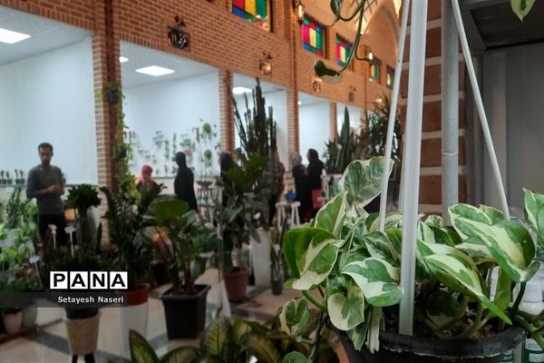برگزاری نمایشگاه گل و گیاه در شهرستان قرچک