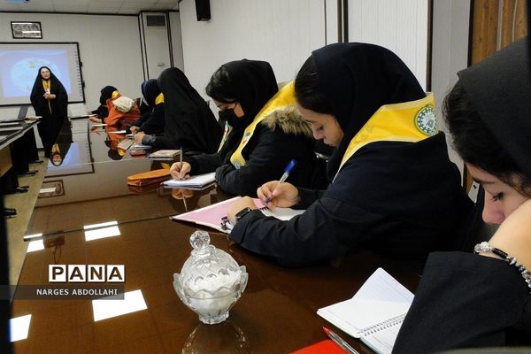 برگزاری دوره آموزش خبرنگاری پانا در فشافویه