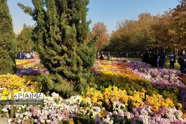 اردوی تفریحی، علمی بر اساس ساحت زیبایی شناختی و هنری