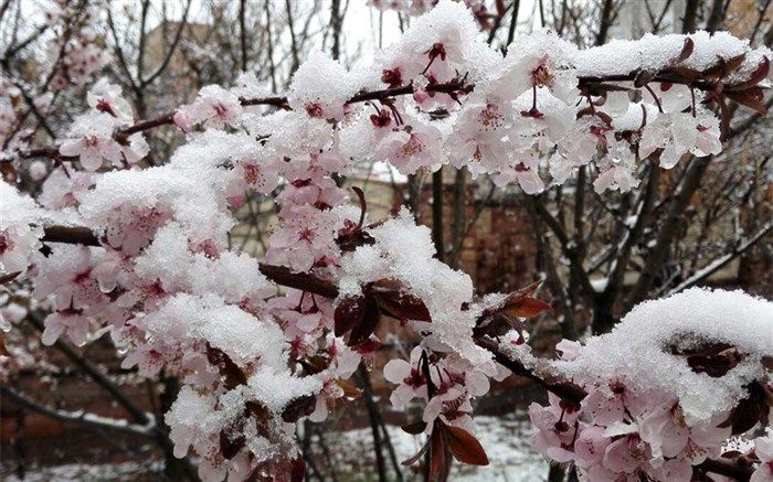 فاصله چند صد میلیاردی خسارت و غرامت