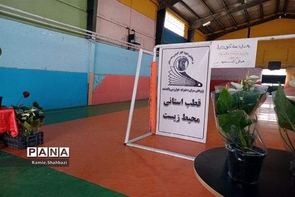 نمایشگاه «گلدان سبز من» در پاکدشت