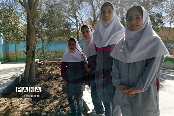 مراسم روز درختکاری در مدرسه حضرت زینب شهرستان خاتم