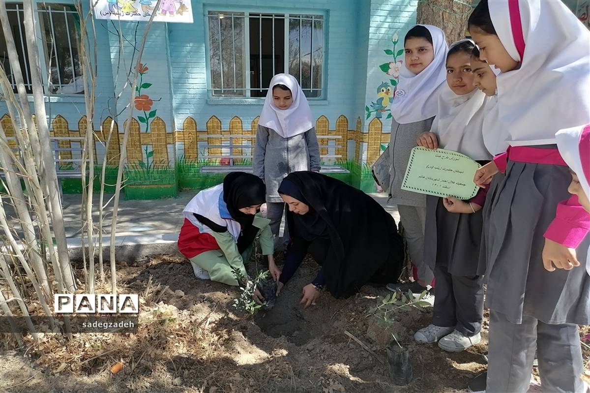 مراسم روز درختکاری در مدرسه حضرت زینب شهرستان خاتم