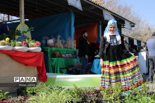 جشنواره معجزه طبیعت در ناحیه یک بهارستان