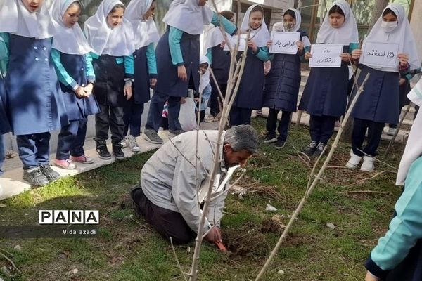 روز درختکاری در دبستان دخترانه سما۲رودهن