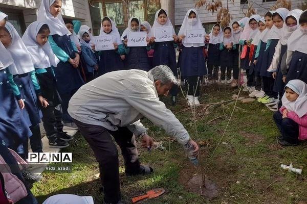 روز درختکاری در دبستان دخترانه سما۲رودهن