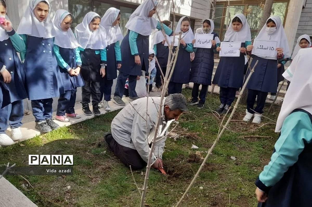 روز درختکاری در دبستان دخترانه سما۲رودهن