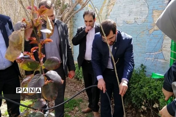 روز درختکاری  و کاشت گل و درخت توسط دانش‌آموزان مدارس ملارد