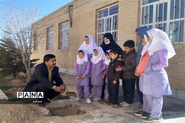 جشن روز درختکاری در مدارس عشایری شهرستان خاتم