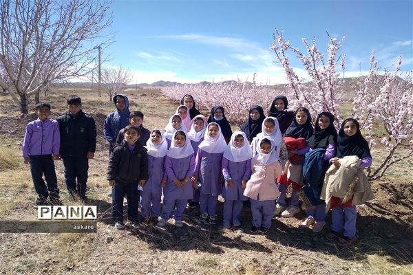 جشن روز درختکاری در مدارس عشایری شهرستان خاتم