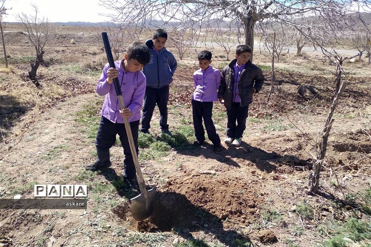 جشن روز درختکاری در مدارس عشایری شهرستان خاتم