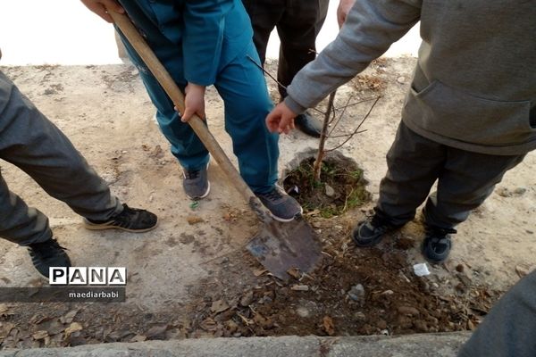 برگزاری جشنواره درختکاری در بخش جوادآباد