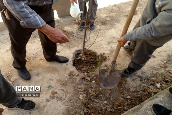 برگزاری جشنواره درختکاری در بخش جوادآباد