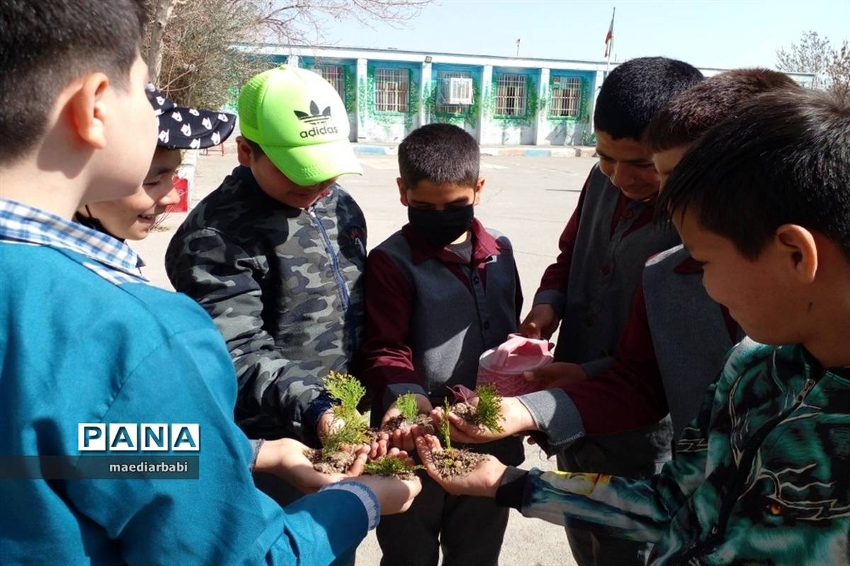 برگزاری جشنواره درختکاری در بخش جوادآباد