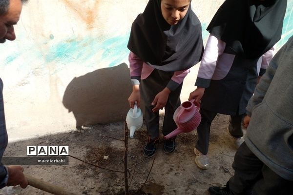 برگزاری جشنواره درختکاری در بخش جوادآباد