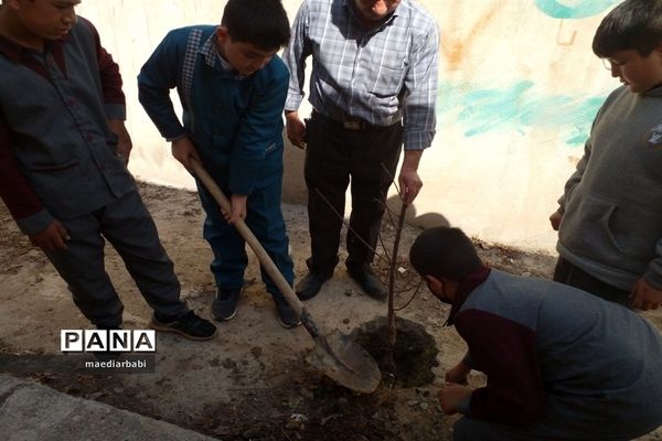 برگزاری جشنواره درختکاری در بخش جوادآباد