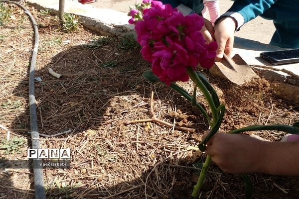 برگزاری جشنواره درختکاری در بخش جوادآباد