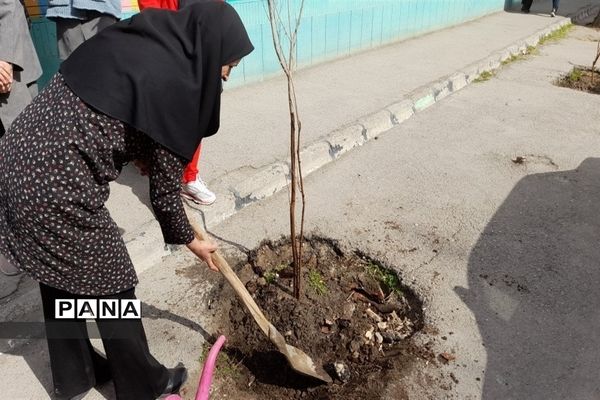 گرامیداشت روز درختکاری درناحیه 3  مشهد