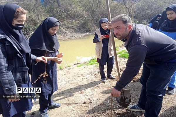 کاشت ۳۱۳ اصله نهال (هردانش‌آموز یک نهال)در روز درختکاری