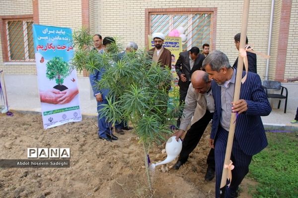 کاشت نهال در دبستان شهدای مدافع سلامت در بوشهر