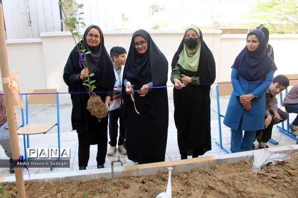 کاشت نهال در دبستان شهدای مدافع سلامت در بوشهر