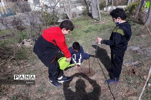 کاشت نهال در روز درختکاری توسط دانش‌آموزان دبستان علوی منطقه ۱۳