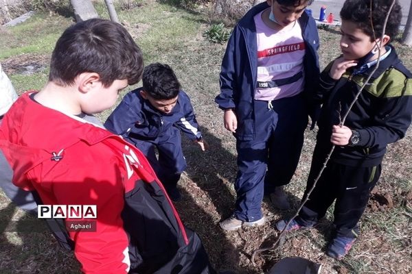 کاشت نهال در روز درختکاری توسط دانش‌آموزان دبستان علوی منطقه ۱۳