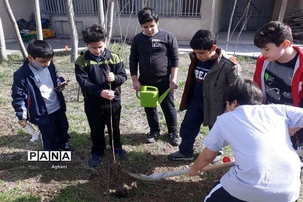 کاشت نهال در روز درختکاری توسط دانش‌آموزان دبستان علوی منطقه ۱۳