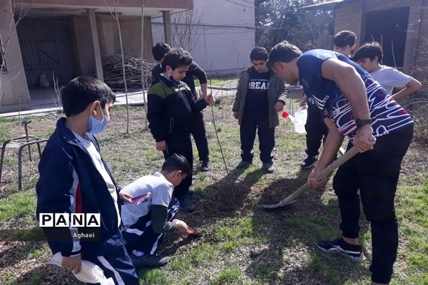 کاشت نهال در روز درختکاری توسط دانش‌آموزان دبستان علوی منطقه ۱۳