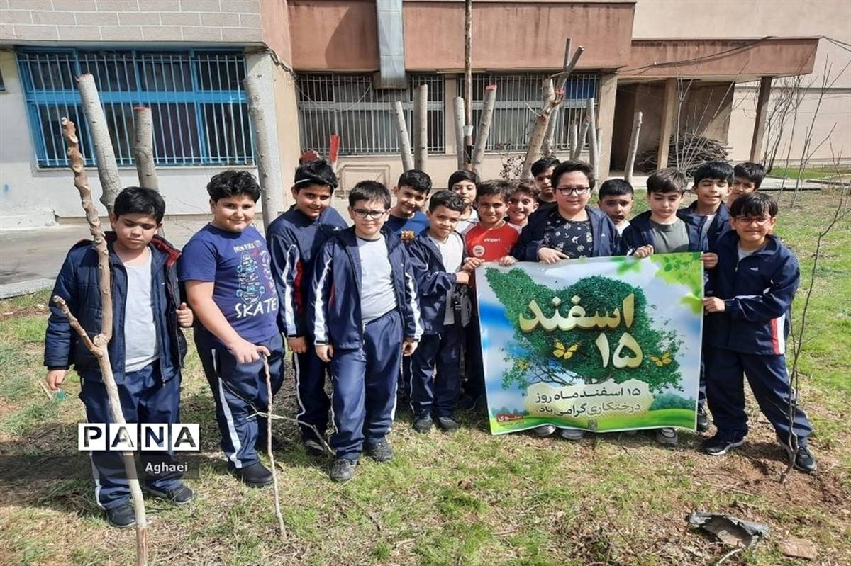 کاشت نهال در روز درختکاری توسط دانش‌آموزان دبستان علوی منطقه ۱۳