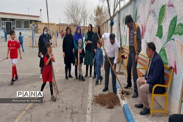 درختکاری در مدرسه حضرت مهدی(عج) پاکدشت